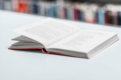 Literatur