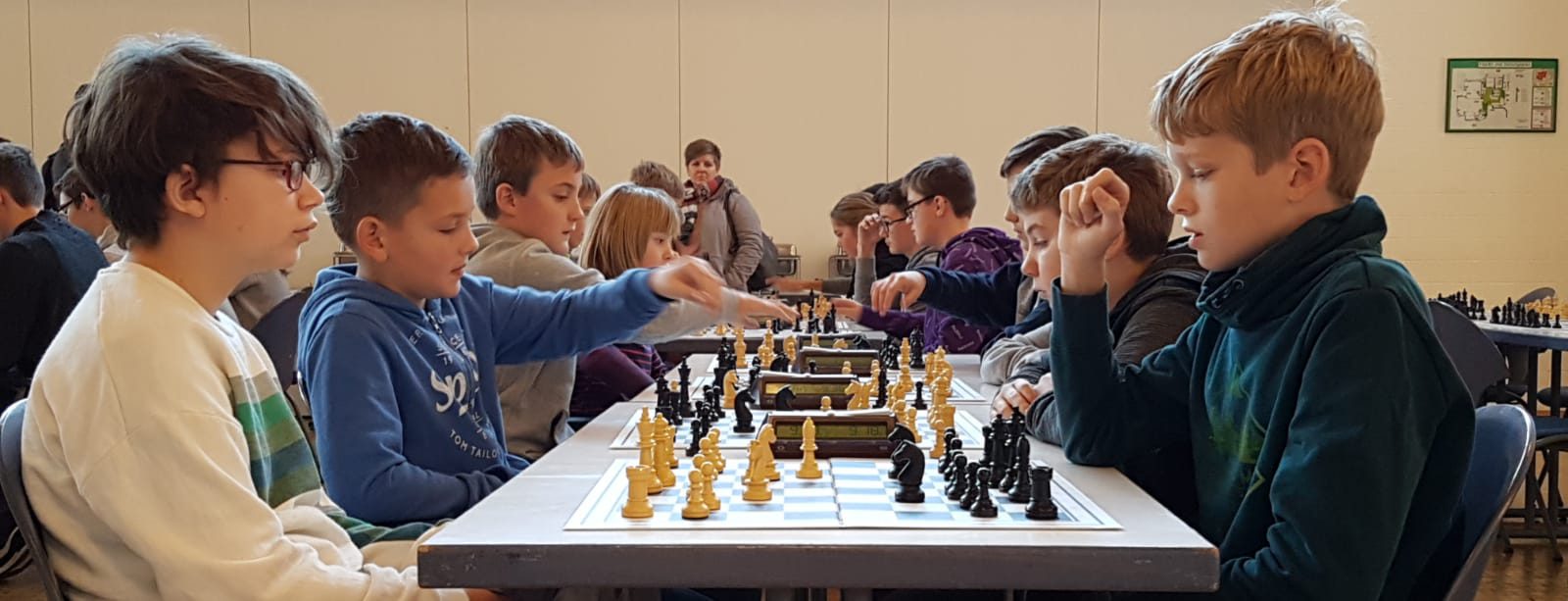 Siege bei Kreismeisterschaften im Schach